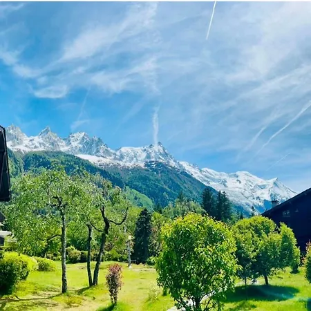 Appt In Mont Blanc View And Parking * 샤모니